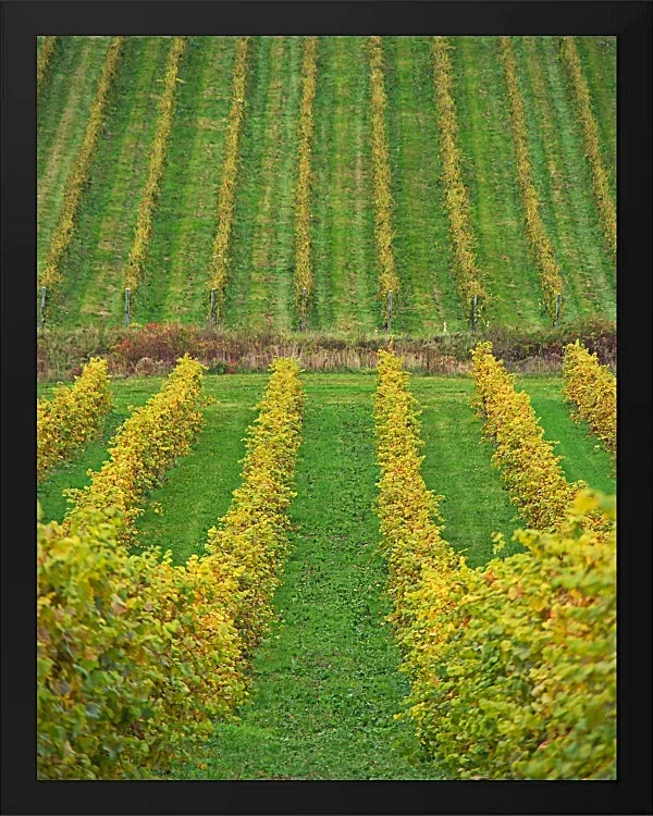 Fotokunst Landschaft - 21