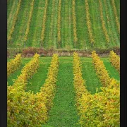 Fotokunst Landschaft - 21