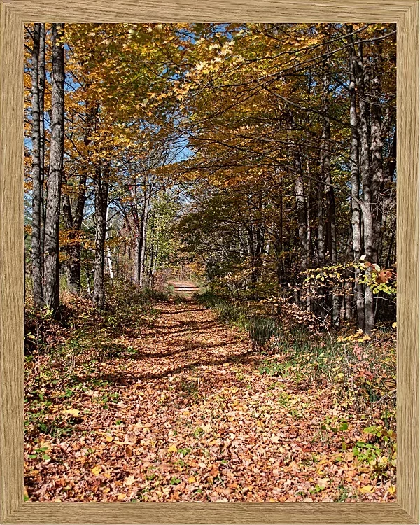 Fotokunst Landschaft - 33