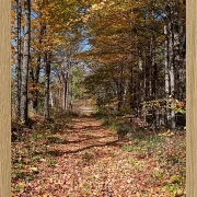 Fotokunst Landschaft - 33