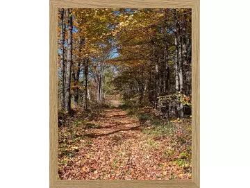 Fotokunst Landschaft - 33