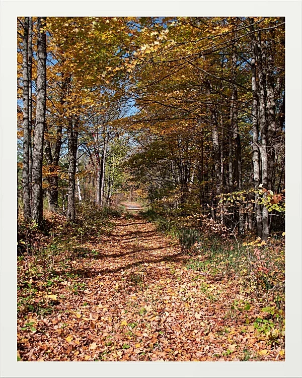 Fotokunst Landschaft - 33