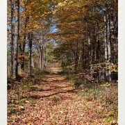 Fotokunst Landschaft - 33