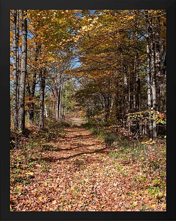 Fotokunst Landschaft - 33