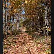 Fotokunst Landschaft - 33