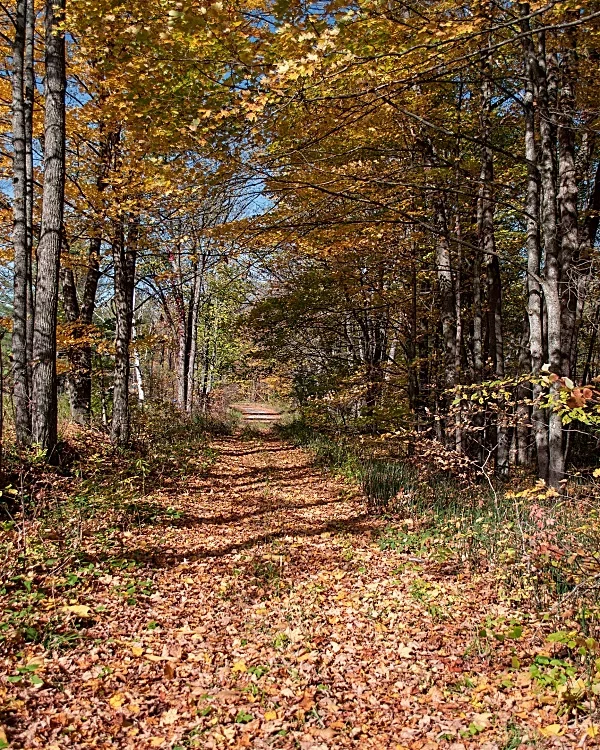 Fotokunst Landschaft - 33