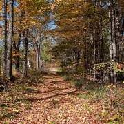 Fotokunst Landschaft - 33