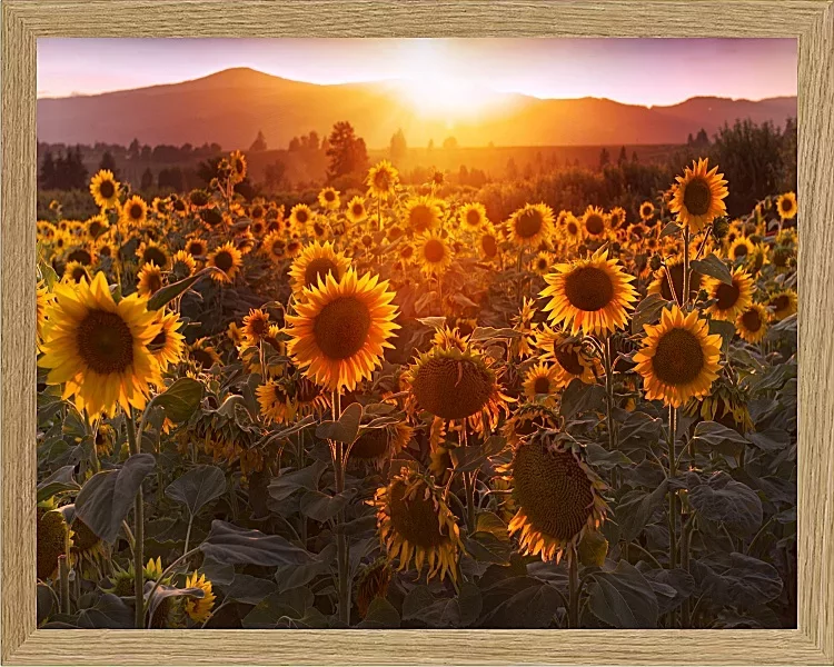 Fotokunst Landschaft - 27