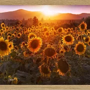 Fotokunst Landschaft - 27