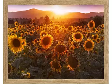 Fotokunst Landschaft - 27