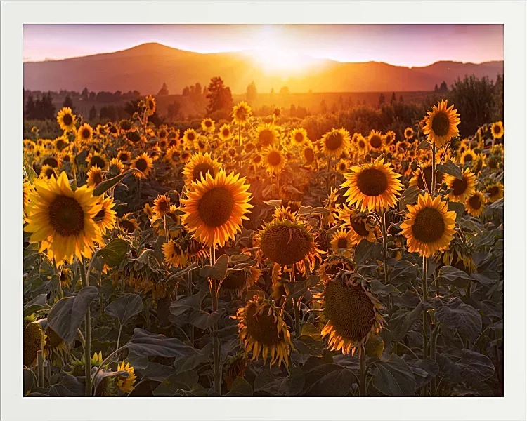 Fotokunst Landschaft - 27