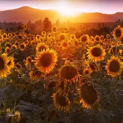 Fotokunst Landschaft - 27