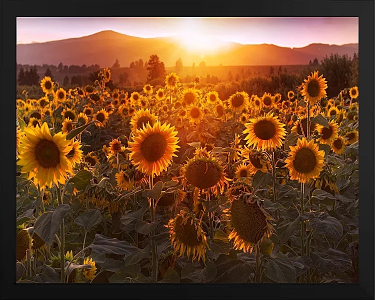 Fotokunst Landschaft - 27