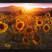 Fotokunst Landschaft - 27