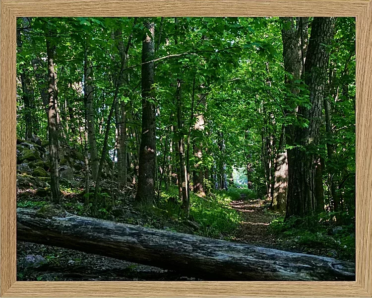 Fotokunst Landschaft - 30