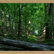 Fotokunst Landschaft - 30