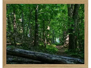 Fotokunst Landschaft - 30