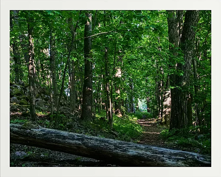 Fotokunst Landschaft - 30