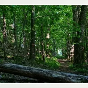 Fotokunst Landschaft - 30