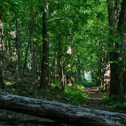 Fotokunst Landschaft - 30