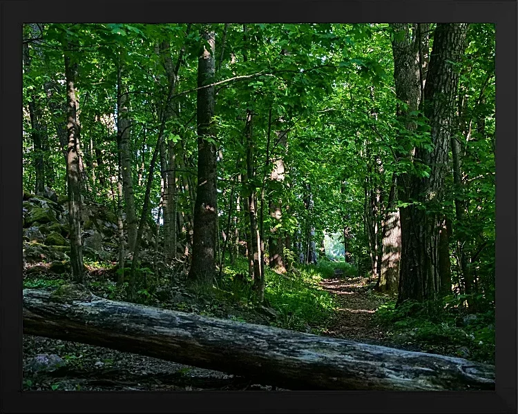 Fotokunst Landschaft - 30