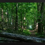 Fotokunst Landschaft - 30