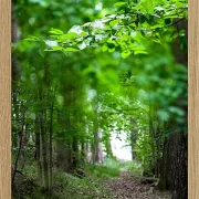 Fotokunst Landschaft - 46