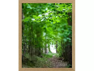 Fotokunst Landschaft - 46