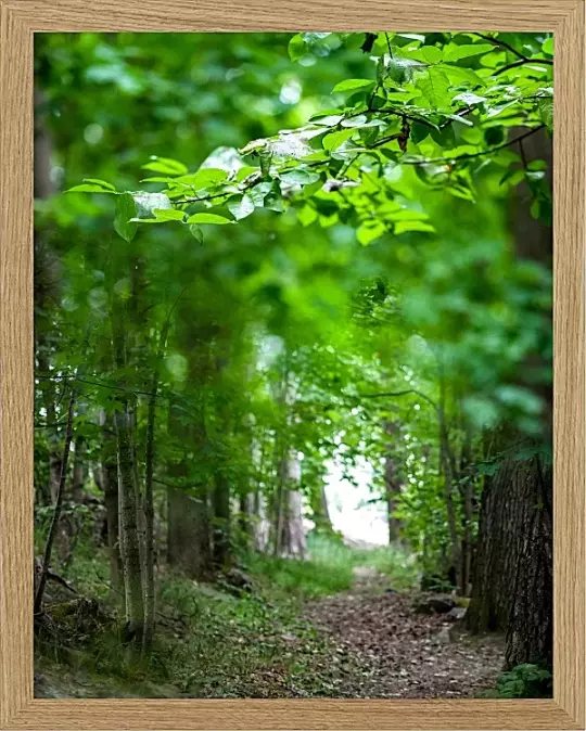 Fotokunst Landskab - 46