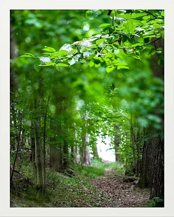 Fotokunst Landschaft - 46