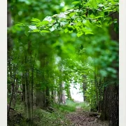 Fotokunst Landschaft - 46