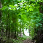 Fotokunst Landschaft - 46