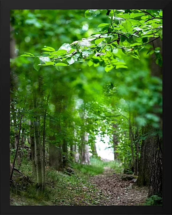 Fotokunst Landschaft - 46