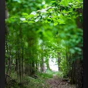 Fotokunst Landschaft - 46