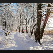 Fotokunst Landschaft - 39