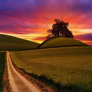 Fotokunst Landschaft - 41