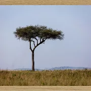 Fotokunst Landschaft - 42