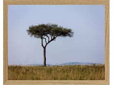 Fotokunst Landschaft - 42