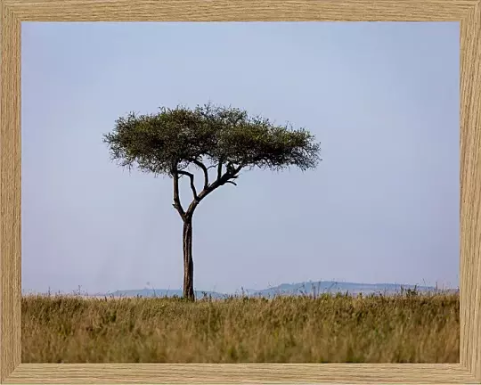 Fotokunst Landskab - 42