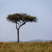 Fotokunst Landschaft - 42