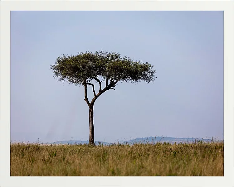 Fotokunst Landschaft - 42