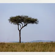 Fotokunst Landschaft - 42