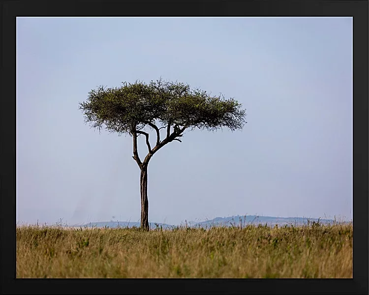 Fotokunst Landschaft - 42