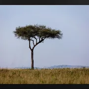 Fotokunst Landschaft - 42