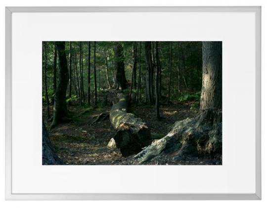 Fotokunst Landschaften