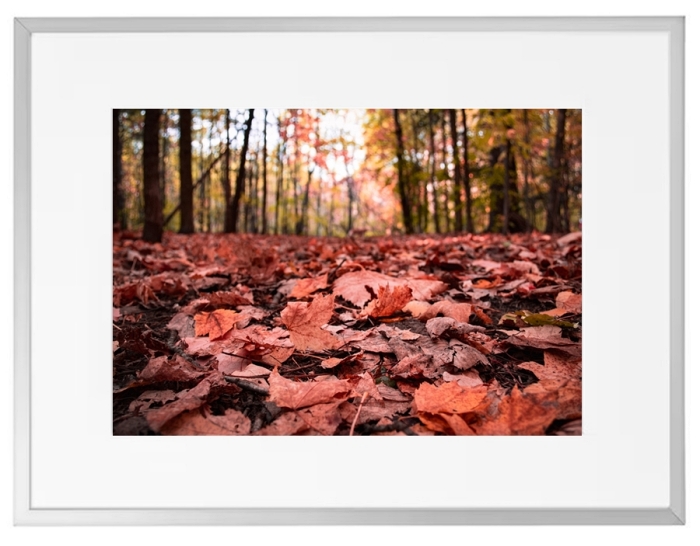 Fotokunst Landschaften