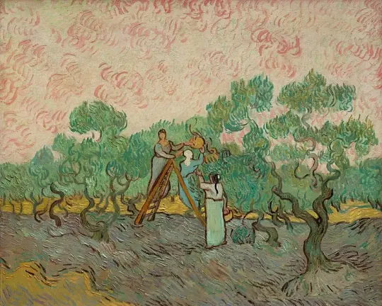 Kvinder plukker oliven - 1889