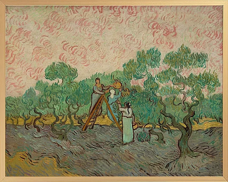 Frauen, die Oliven pflücken - 1889