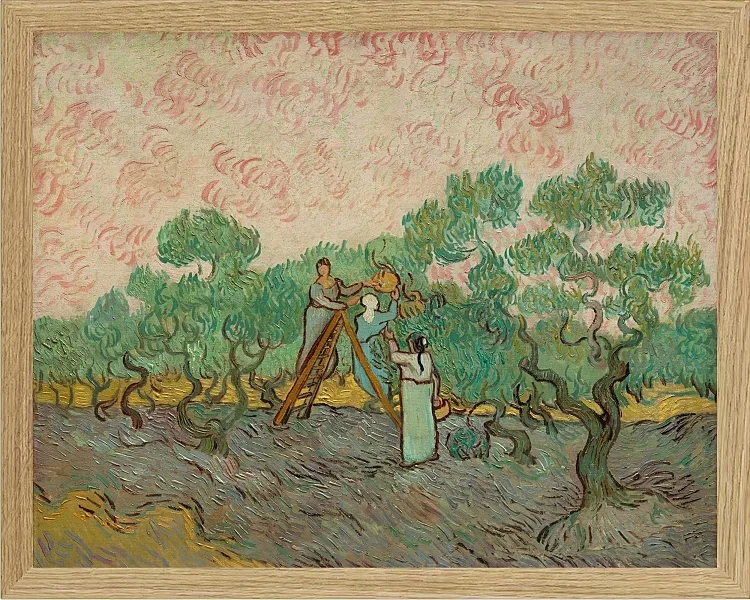 Frauen, die Oliven pflücken - 1889
