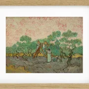 Frauen, die Oliven pflücken - 1889